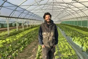 unmaraicher devant des cultures sous tunnel