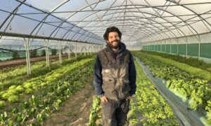 unmaraicher devant des cultures sous tunnel