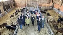 Un groupe de personne dans une chèvrerie