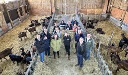 Un groupe de personne dans une chèvrerie