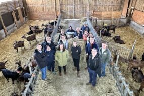 Un groupe de personne dans une chèvrerie