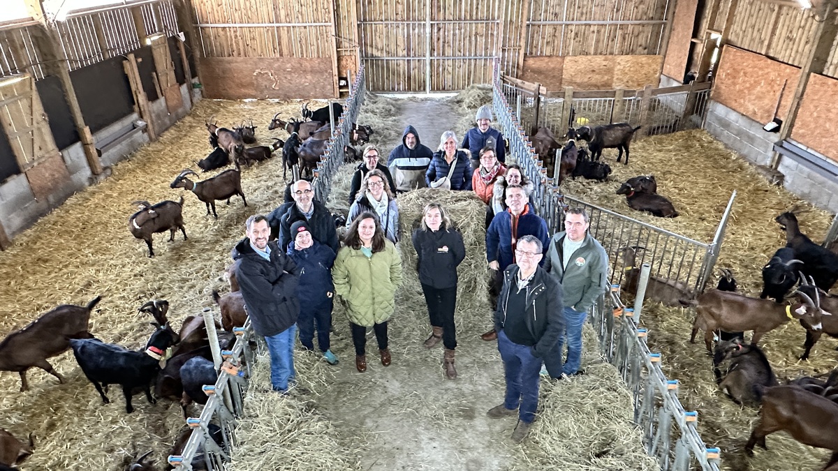 Un groupe de personne dans une chèvrerie - Illustration Défendre les producteurs laitiers fermiers