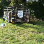 bétaillère en pâture