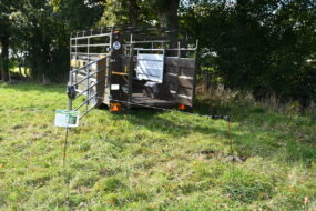 bétaillère en pâture