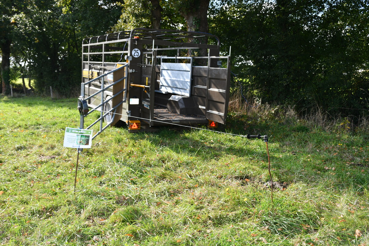 bétaillère en pâture - Illustration Du confort au travail chez Jean-Yves Guémin