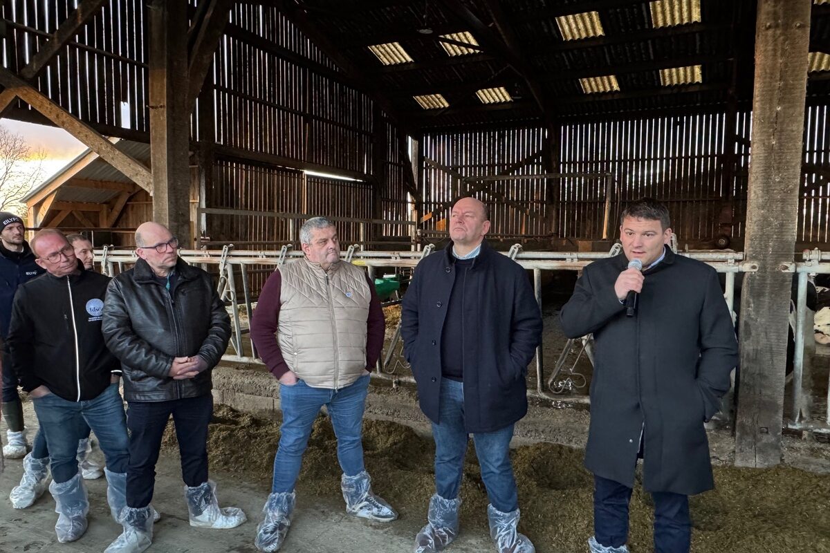 Cinq hommes dans l'étable d'un élevage laitier - Illustration Un bon prix du lait pour assurer la continuité