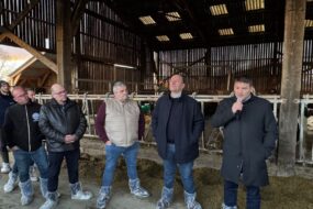 Cinq hommes dans l'étable d'un élevage laitier