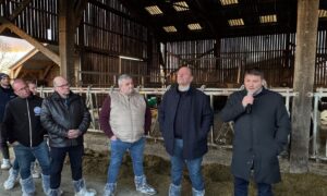 Cinq hommes dans l'étable d'un élevage laitier