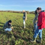 Quatre homme dans un champ de blé à l'automne.