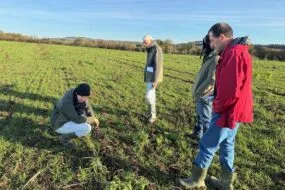 Quatre homme dans un champ de blé à l'automne.