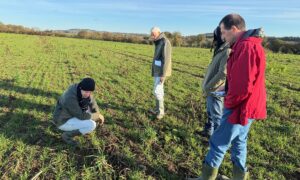 Quatre homme dans un champ de blé à l'automne.