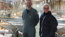Un homme et une femme dans une maternité porcine