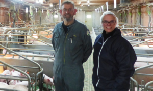 Un homme et une femme dans une maternité porcine
