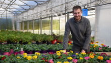 Un homme dans une pépinière parmi ses étals de fleurs.