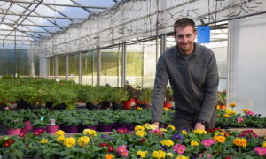 Un homme dans une pépinière parmi ses étals de fleurs.