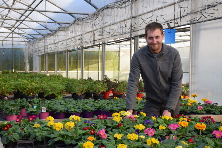 Un homme dans une pépinière parmi ses étals de fleurs.