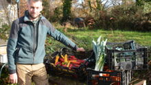 Un homme dans un champ devant des cageots en plastique avec des légumes