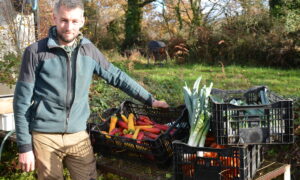 Un homme dans un champ devant des cageots en plastique avec des légumes