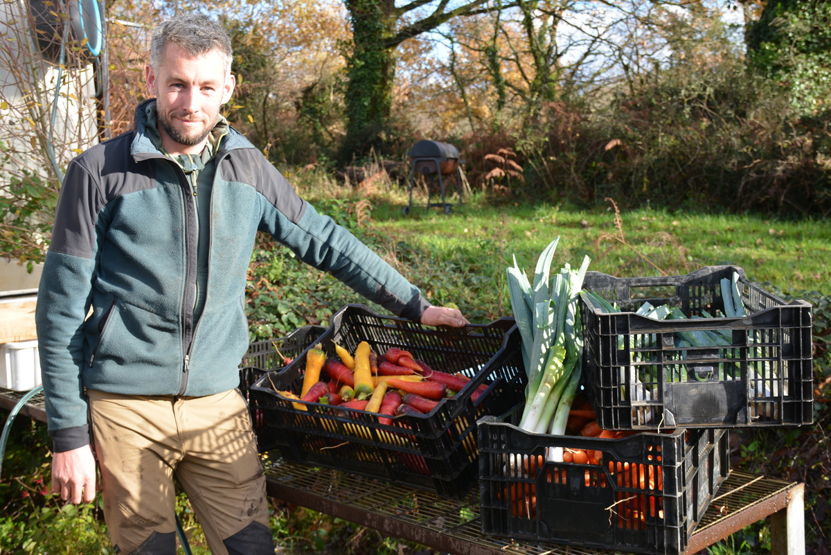 Un homme dans un champ devant des cageots en plastique avec des légumes - Illustration Les agriculteurs bio veulent peser lors des municipales