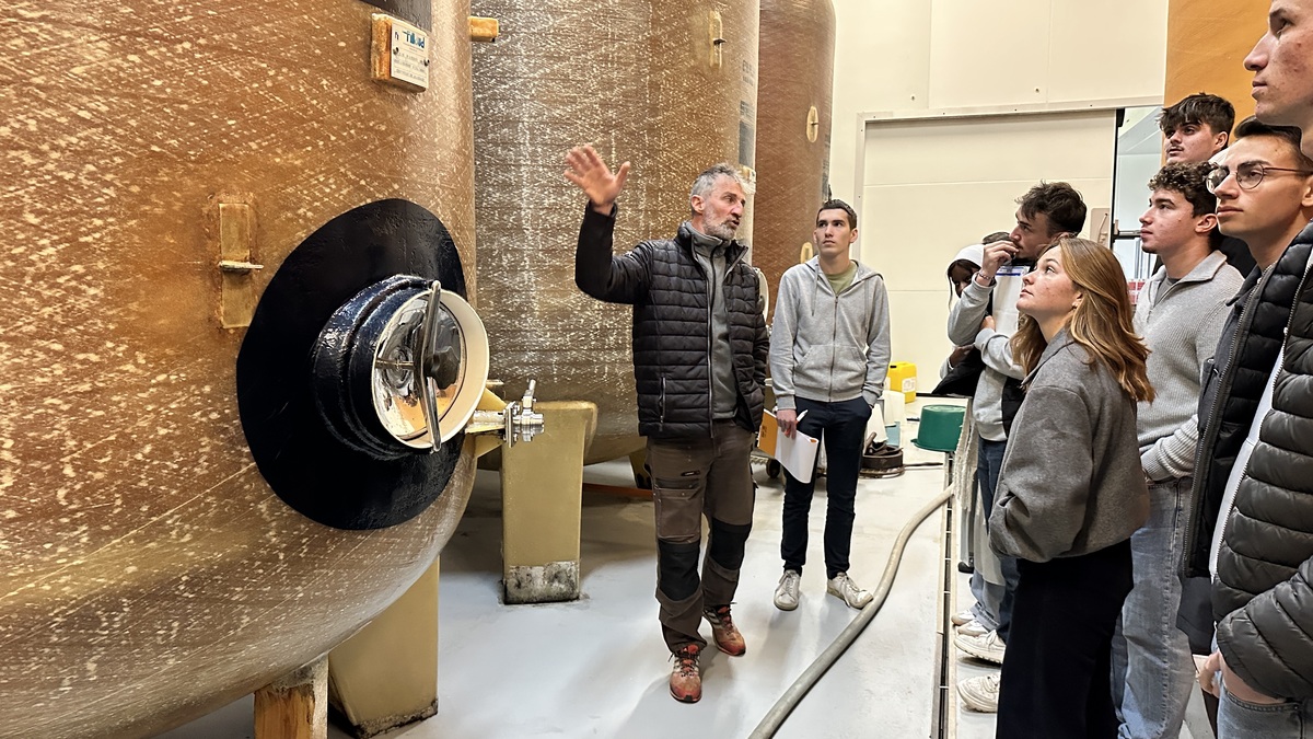 Des personnes devant des cuves de fermentation - Illustration Du cidre fermier, bio et local