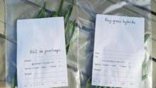 Des brins dherbe dans des sacs avec une fiche d'identification