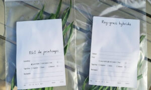 Des brins dherbe dans des sacs avec une fiche d'identification