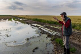 Un homme dans un champ de culture inondé parle au téléphone avec les bras au ciel