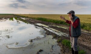 Un homme dans un champ de culture inondé parle au téléphone avec les bras au ciel