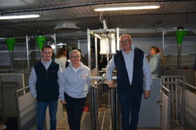 une femme et deux hommes dans une porcherie