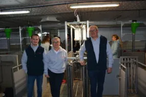 une femme et deux hommes dans une porcherie