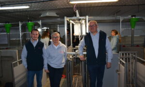 une femme et deux hommes dans une porcherie