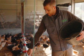 Un homme avec un seau dans la main nourrit des poules dans un bâtiment