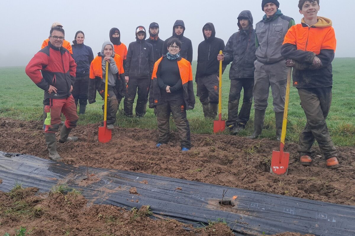 Un groupe de personnes en train de planter des haies - Illustration Des lycéens plantent chez des agriculteurs