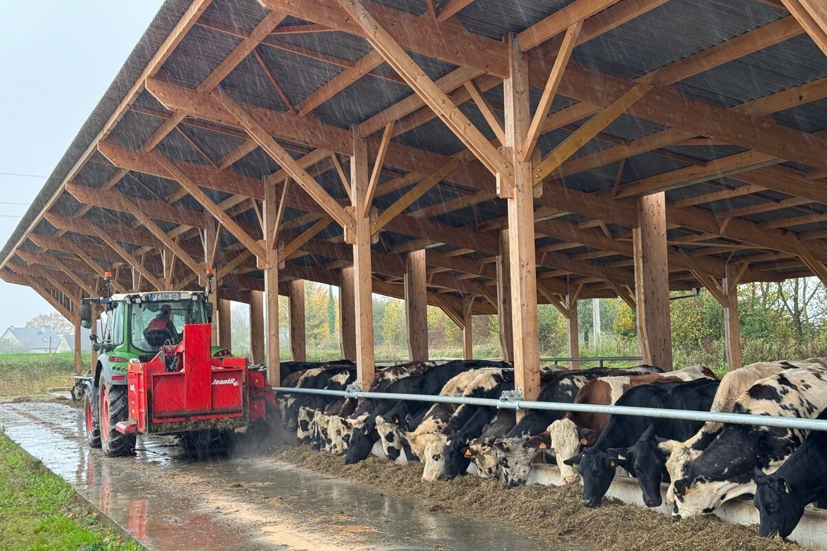 Un éleveur distribue de l'ensilage à ses vaches à l'aide d'une désileuse portée derrière son tracteur - Illustration Trois circuits en bus pour découvrir les bâtiments dans neuf fermes