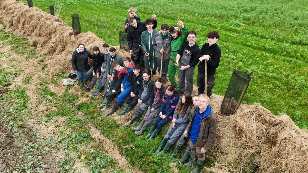 haie.jpg - Illustration Des lycéens plantent à Cléguérec