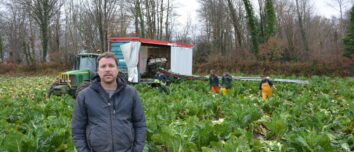 Un homme dans un champ de choux-fleurs avec une équipe qui les ramassent derrière