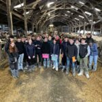 Des élèves dans une stabulation