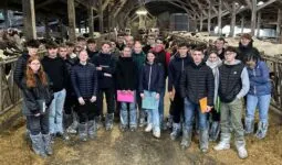 Des élèves dans une stabulation