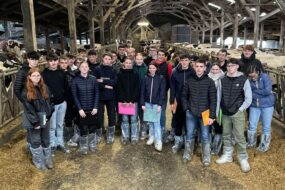 Des élèves dans une stabulation