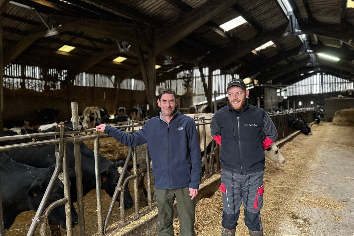 Deux hommes dans l'étable d'un élevage laitier - Illustration Léo réalise son rêve à la ferme