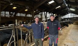 Deux hommes dans l'étable d'un élevage laitier