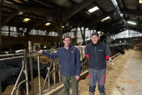 Deux hommes dans l'étable d'un élevage laitier