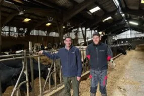Deux hommes dans l'étable d'un élevage laitier
