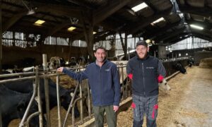 Deux hommes dans l'étable d'un élevage laitier