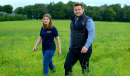 Un homme et une femme dans un pâture