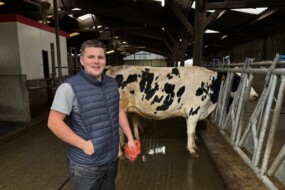 Un inséminateur souriant dans un bâtiment d'élevage de vaches