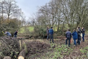 bénévoles autour d'une mare