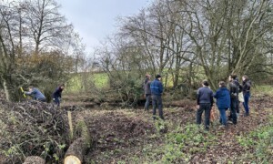 bénévoles autour d'une mare
