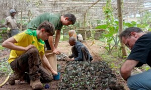 Des jeunes étudiants dans une pépinière