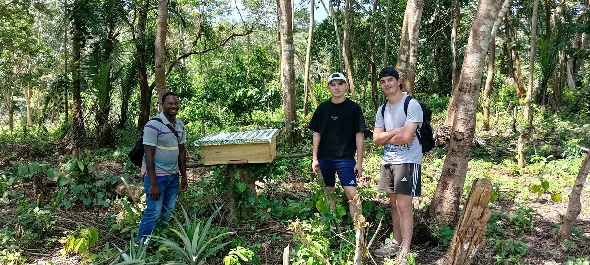 Personnes en forêt tropicale